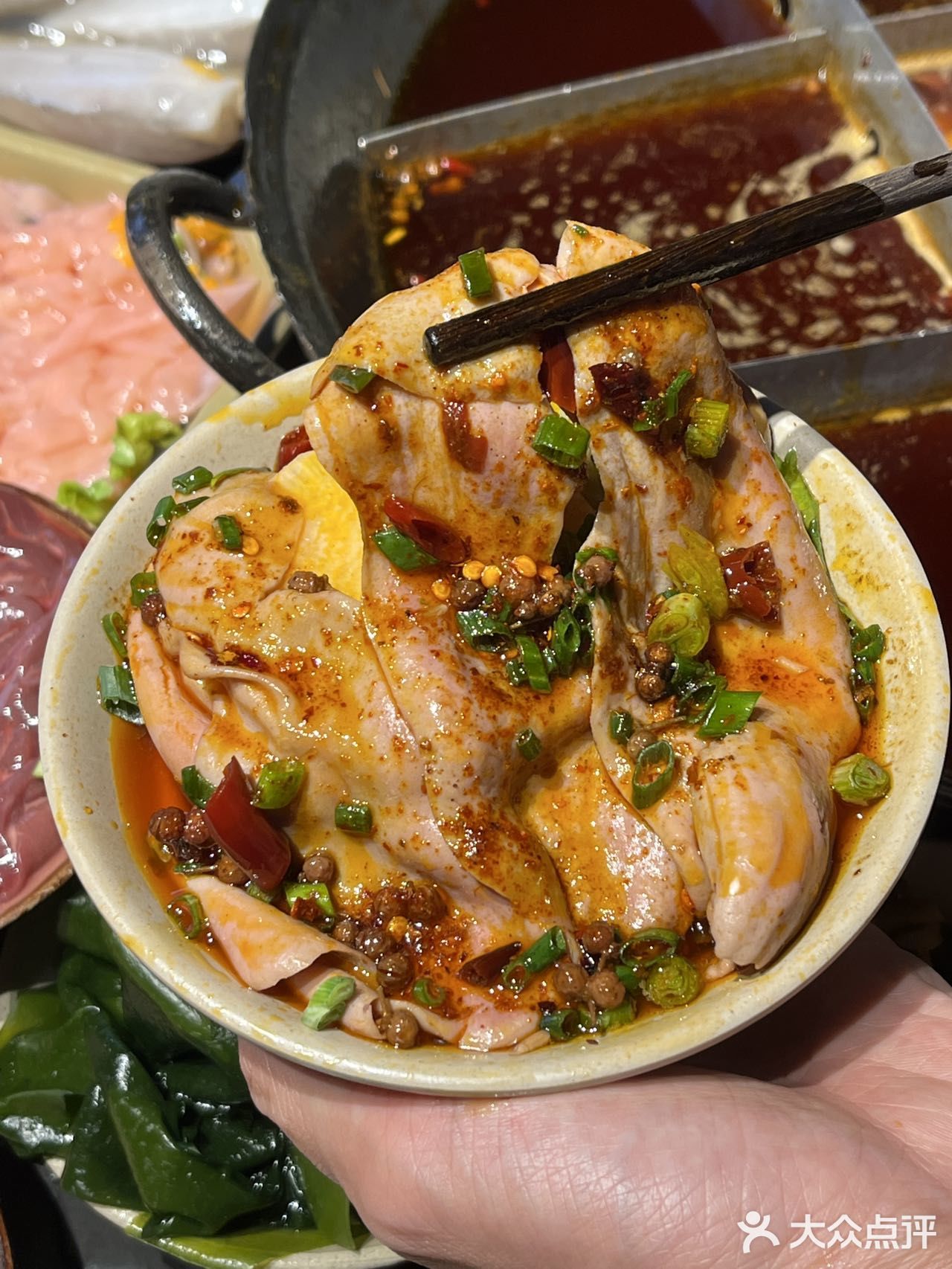 一边吃火锅，一边撸猫是种什么体验！