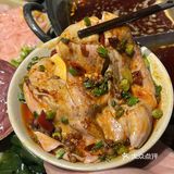 一边吃火锅，一边撸猫是种什么体验！