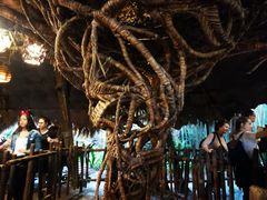 -奥兰多迪士尼动物王国乐园