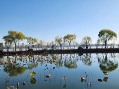 -无锡蠡湖国家湿地公园-蠡园