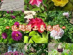 -太阳宫公园