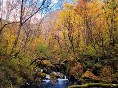-叠溪松坪沟景区