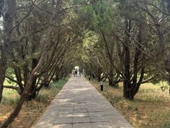 -洛阳古墓博物馆