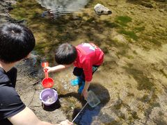 -碓臼峪自然风景区