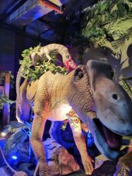 点击看大图 -恐龙探索乐园(磁器口店)