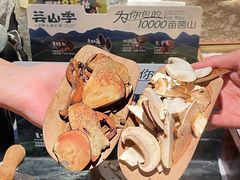 -芸山季·云南山珍菌火锅(人民广场来福士店)