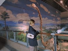 -自贡恐龙博物馆