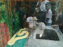 -上海大自然野生昆虫馆(东方明珠·爬宠昆虫探索中心)