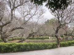 -晓港公园
