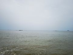 -野狸岛