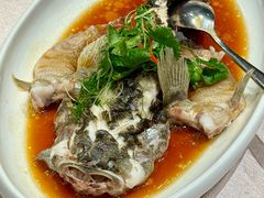 -九朝会昆曲·宴(望京店)