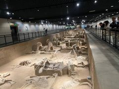 -洛阳周王城天子驾六博物馆