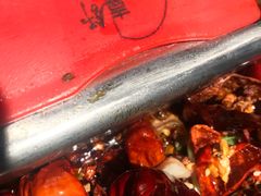 -舒来喜鱼锅(伊河路店)