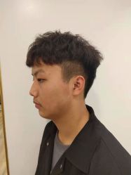 -YESIDO椰岛造型