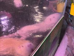 -正佳雨林生态植物园