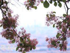 -北京西山国家森林公园