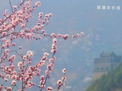 -居庸关长城