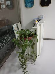 -莱恩·乐活概念专业皮肤管理连锁