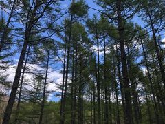 -白草畔自然风景区