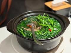 -煲煲好(朝阳门店)