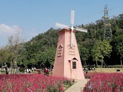 -顺峰山公园