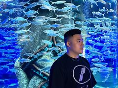 -波塞冬旅游度假区