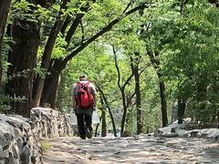 -阳台山自然风景区