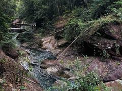 -广州白江湖森林公园