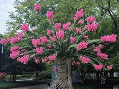 -杭州城北体育公园