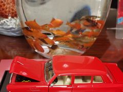 -TOYSRUS玩具反斗城(合肥华润万象城店)