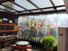 -鲁菜根·泰山菜(泰山店)