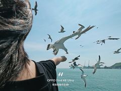 -海驴岛(荣成市)
