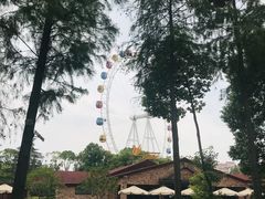 -上海野生动物园