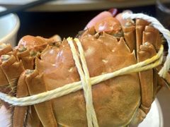 -蟹天蟹地农家菜·阳澄湖大闸蟹(浅水湾店)
