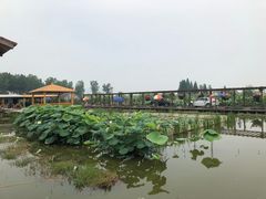 -同銮特种养殖场·龙虾垂钓