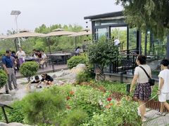 -蘇河湾·新鲁菜·泰山宴(泰山店)