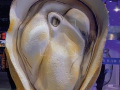 深海黄金蚝大个火锅-千岛蚝高压锅生蚝·人参火锅(白云万达店)