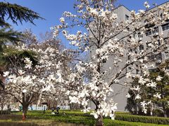 -山东师范大学(千佛山校区)