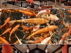 -龙悦湾酒家·八阵鱼生·渔人码头店