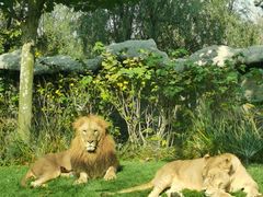 -北京野生动物园