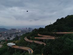 -福道