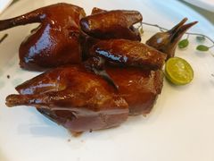 -千灯盛汇·头牌粤菜(致越优城店)