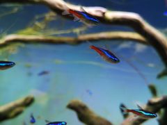 -沈阳海洋探索中心