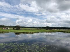 -塞罕坝国家级自然保护区