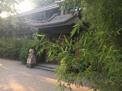 -文瀛公园