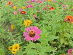 -野鸭湖国家湿地公园