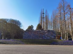 -东平国家森林公园
