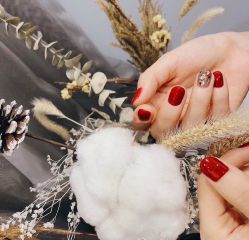 -ALLIE爱丽美甲美睫·专业建构
