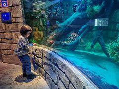 -沈阳海洋探索中心