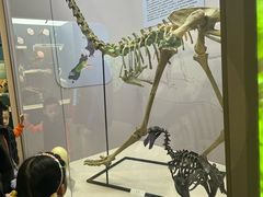 -国家自然博物馆